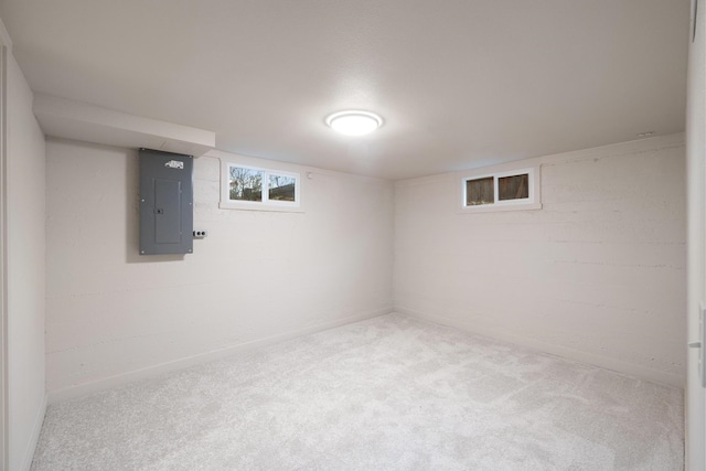 basement with electric panel and carpet