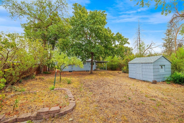 view of yard featuring a storage unit