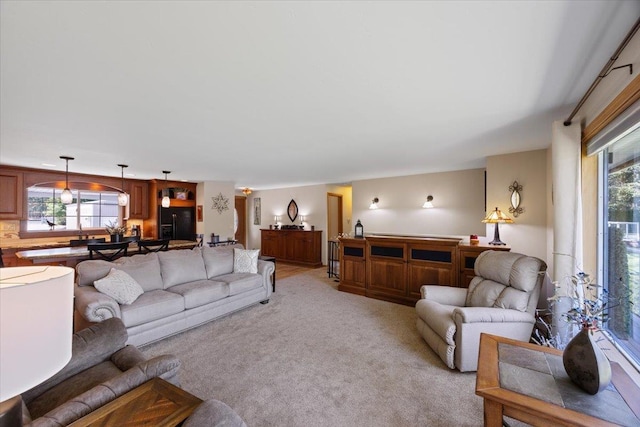 living area with light colored carpet and a healthy amount of sunlight