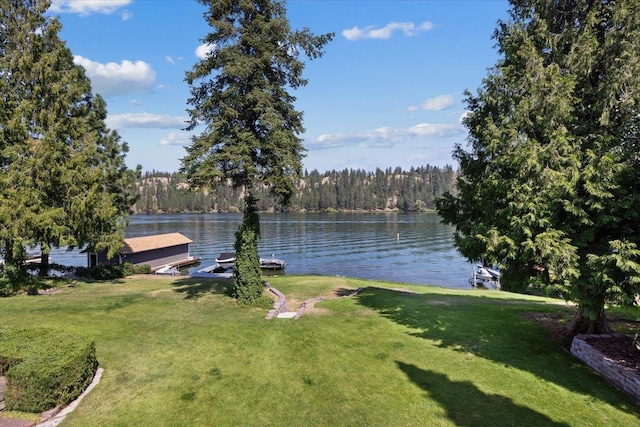 water view with a wooded view