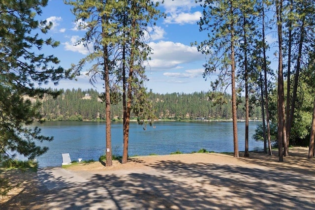 property view of water with a view of trees