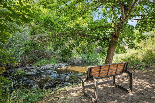 view of property's community featuring a water view