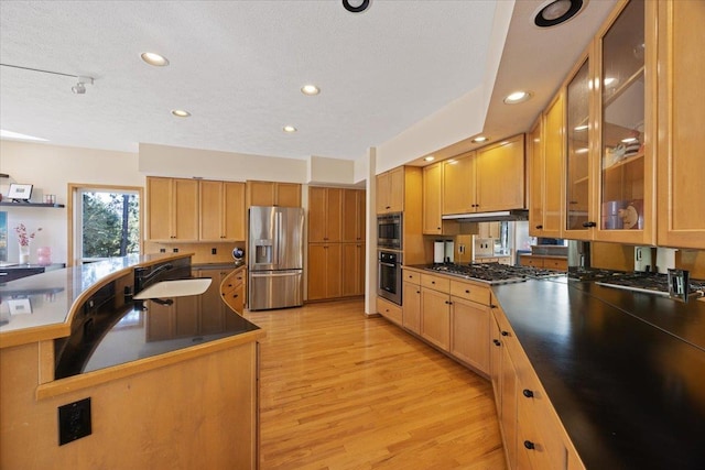 kitchen featuring light wood-style flooring, under cabinet range hood, a sink, appliances with stainless steel finishes, and dark countertops