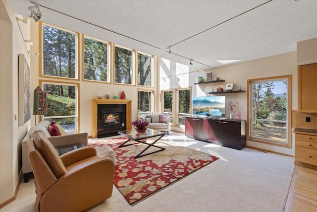 sunroom with track lighting and a glass covered fireplace