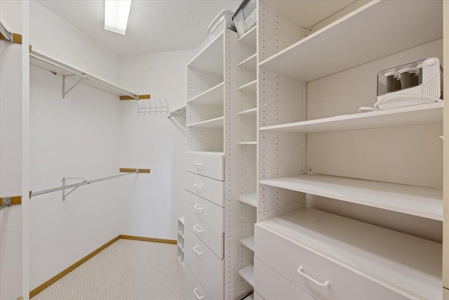 spacious closet featuring carpet