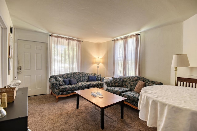 living room with a wealth of natural light and carpet floors