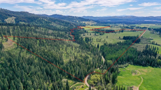 birds eye view of property featuring a mountain view