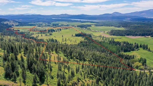 drone / aerial view featuring a mountain view