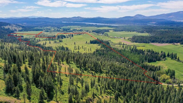 901 Skookum Creek Rd, Usk, WA 99180 - photo 31