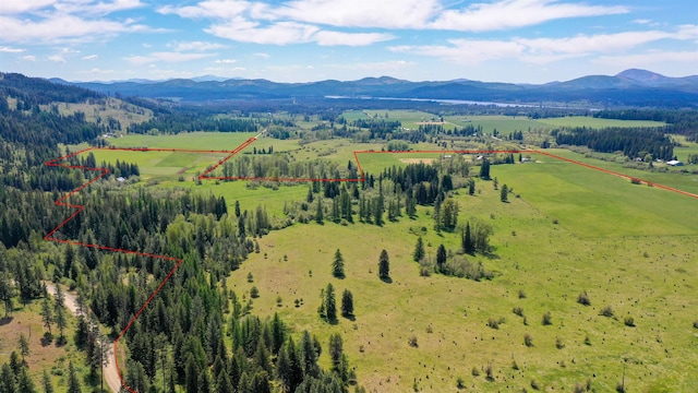 901 Skookum Creek Rd, Usk, WA 99180 - photo 32