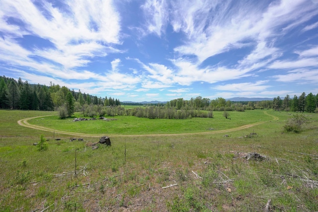 view of nature featuring a rural view