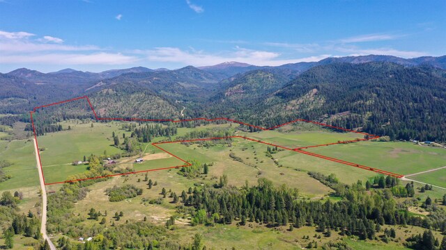901 Skookum Creek Rd, Usk, WA 99180 - photo 8
