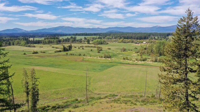901 Skookum Creek Rd, Usk, WA 99180 - photo 9