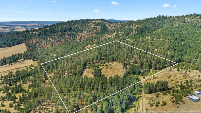 NNA E Stoughton Rd, Rockford WA, 99030 land for sale