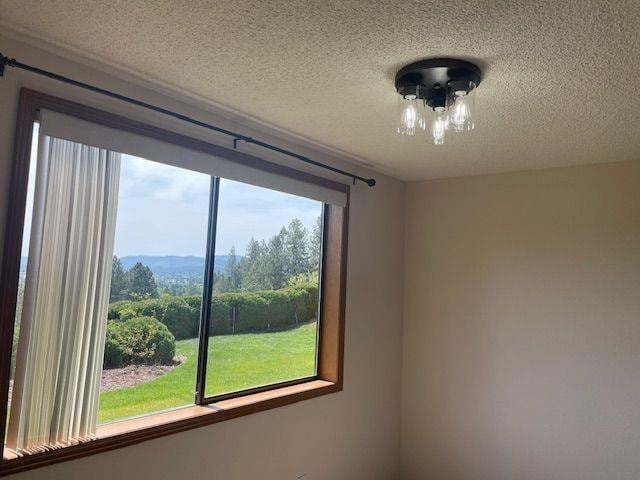 5307 N Argonne Ln # 6, Spokane, WA 99212 - detailed view of a textured ceiling