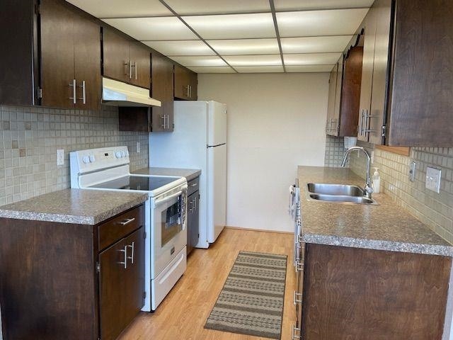 5307 N Argonne Ln # 6, Spokane, WA 99212 - kitchen with white range with electric cooktop, under cabinet range hood, a sink, light wood-style flooring, and tasteful backsplash