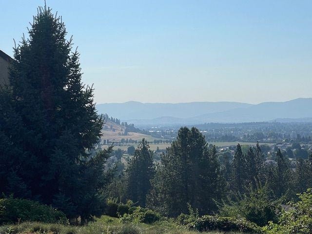 5307 N Argonne Ln # 6, Spokane, WA 99212 - view of mountain backdrop