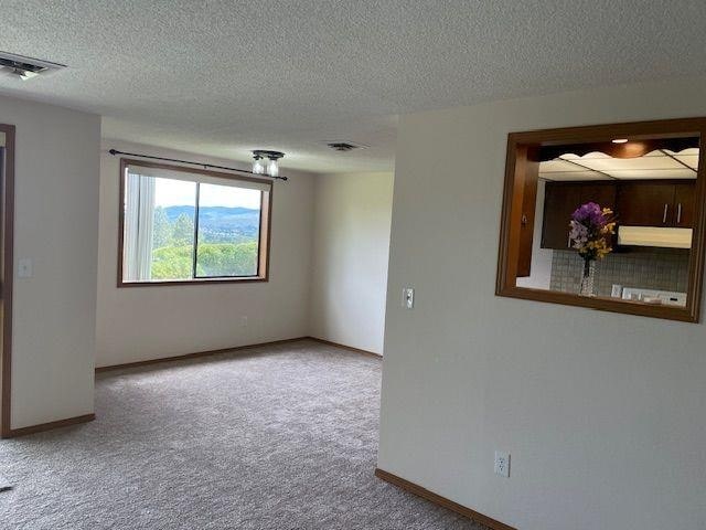 5307 N Argonne Ln # 6, Spokane, WA 99212 - empty room with carpet floors, a textured ceiling, and baseboards