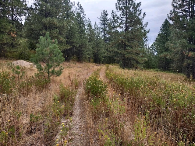 XX Little Sweden Rd Lot B, Lot B, Valley WA, 99181 land for sale