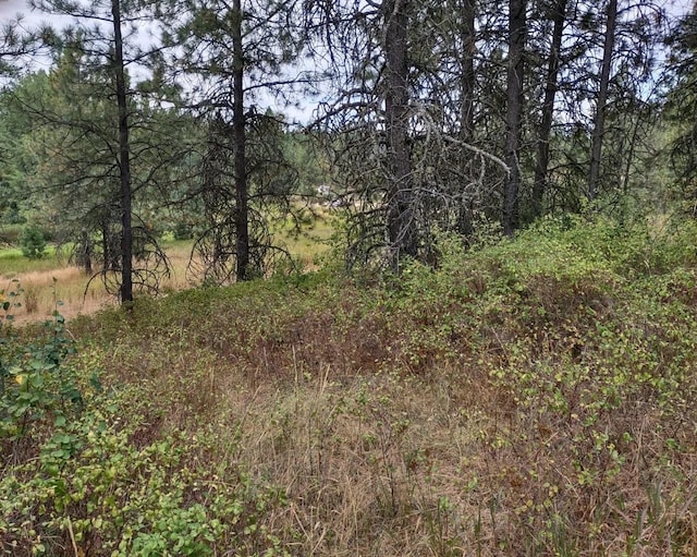 Listing photo 2 for XX Little Sweden Rd Lot B, Lot B, Valley WA 99181