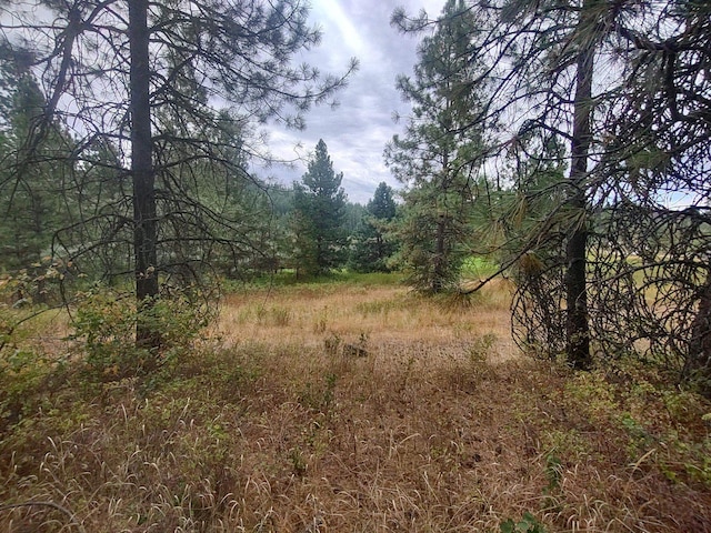 Listing photo 3 for XX Little Sweden Rd Lot B, Lot B, Valley WA 99181