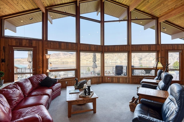 living room with carpet flooring, wood walls, wooden ceiling, and a water view