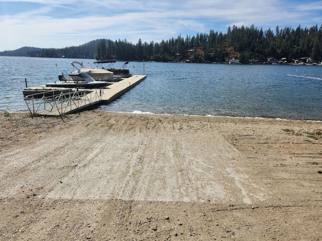 dock area with a view of trees and a water view