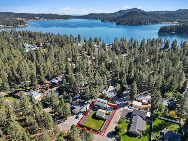 birds eye view of property featuring a water and mountain view and a view of trees