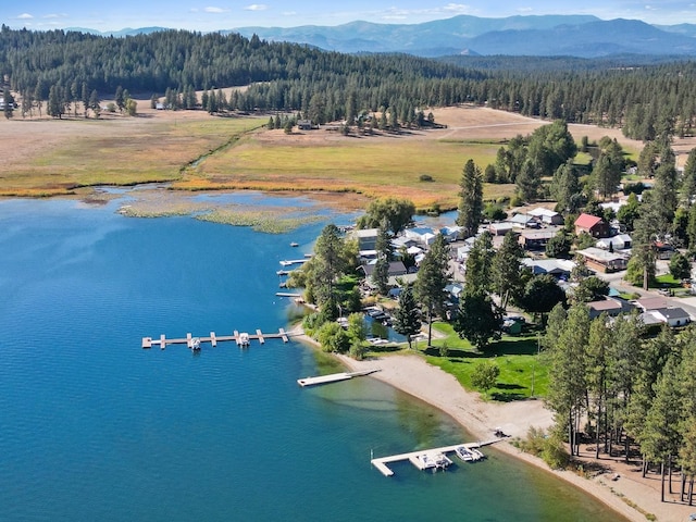 bird's eye view with a view of trees and a water and mountain view