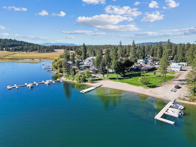 drone / aerial view with a water view and a wooded view