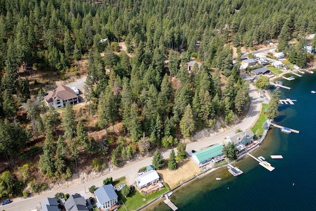 46287 Larson Beach Rd, Loon Lake, WA 99148