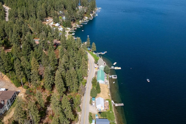 46287 Larson Beach Rd, Loon Lake, WA 99148