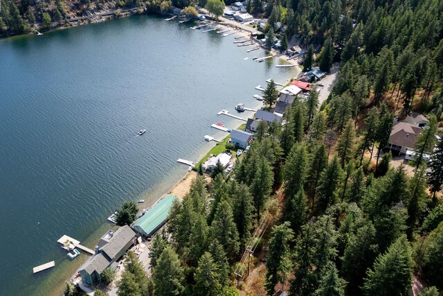 46287 Larson Beach Rd, Loon Lake, WA 99148