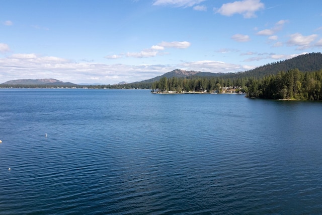 46287 Larson Beach Rd, Loon Lake, WA 99148