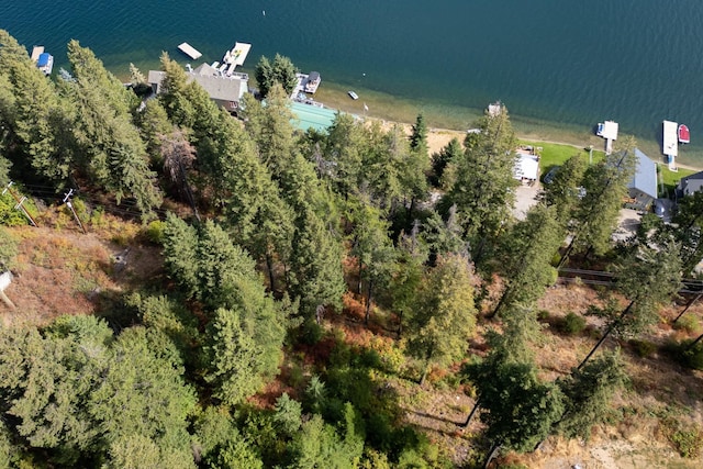 46287 Larson Beach Rd, Loon Lake, WA 99148