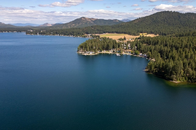 46287 Larson Beach Rd, Loon Lake, WA 99148
