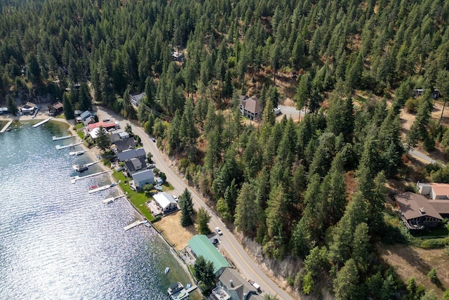 46287 Larson Beach Rd, Loon Lake, WA 99148
