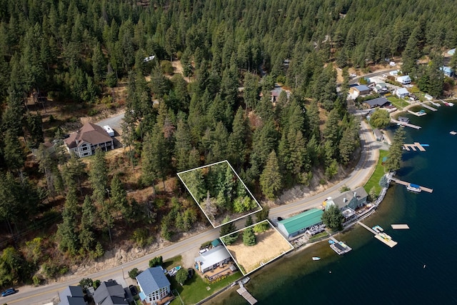 46287 Larson Beach Rd, Loon Lake, WA 99148