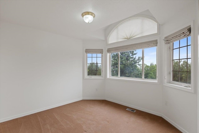 carpeted empty room with plenty of natural light