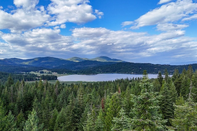 26515 E Timberwolf Ln, Newman Lake WA, 99025 land for sale