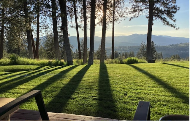 view of yard with a mountain view