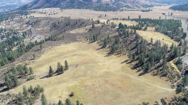 aerial view with a rural view