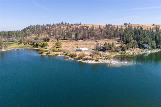 bird's eye view with a water view and a wooded view