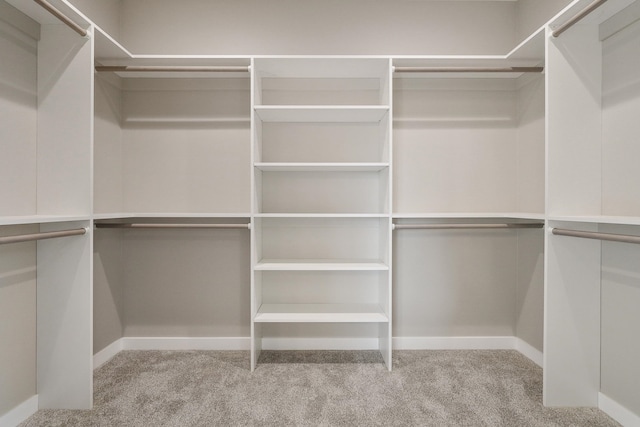 spacious closet with light colored carpet