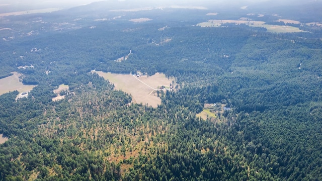 1114 Stohr Rd, Newport, WA 99156 - drone / aerial view featuring a view of trees