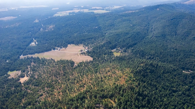 1114 Stohr Rd, Newport, WA 99156 - drone / aerial view featuring a wooded view and a mountain view