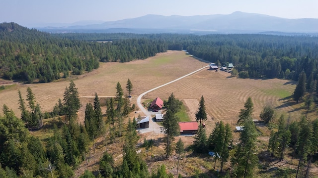 1114 Stohr Rd, Newport, WA 99156 - birds eye view of property with a view of trees and a mountain view