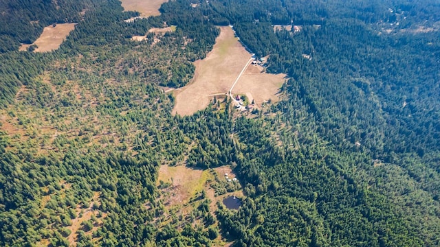 1114 Stohr Rd, Newport, WA 99156 - drone / aerial view with a forest view