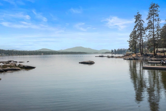 water view featuring a mountain view