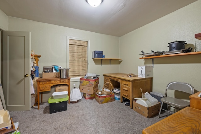 home office with carpet flooring